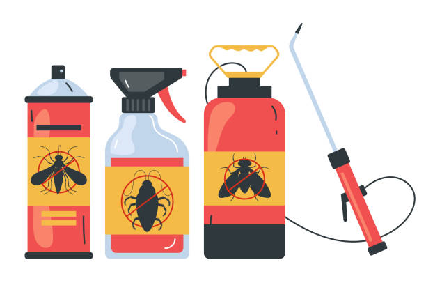 Best Flea Control Services  in , NV