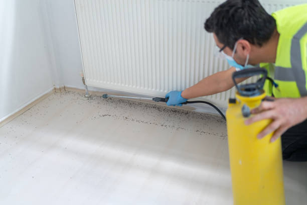 Best Pest Prevention Services  in , NV