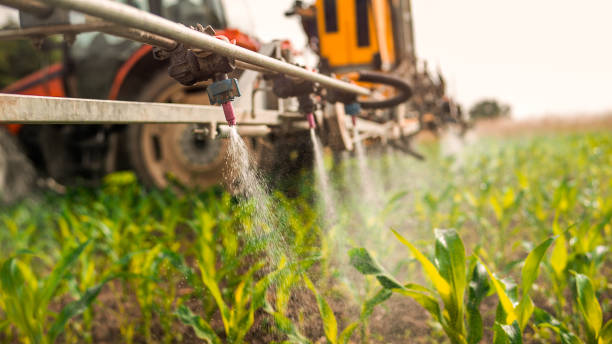 Best Commercial Pest Control Services  in , NV