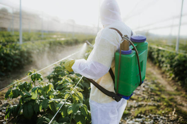 Best Residential Pest Control  in , NV